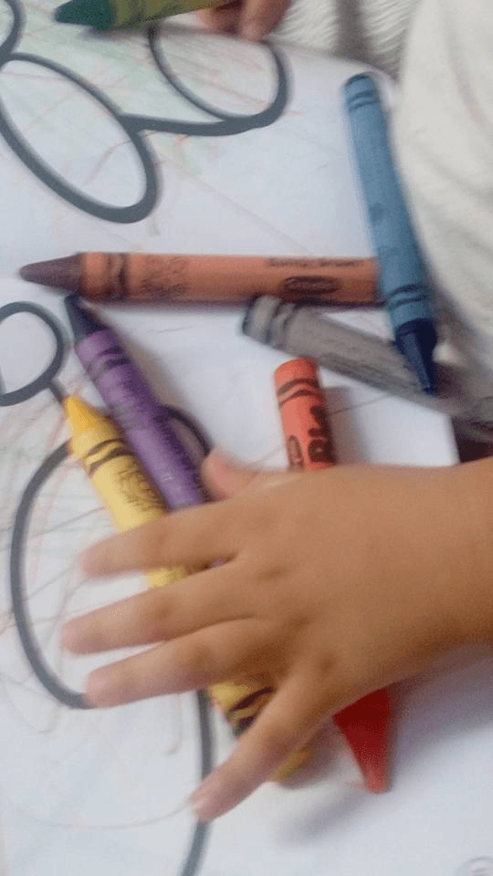 Colorful crayons ready for learning